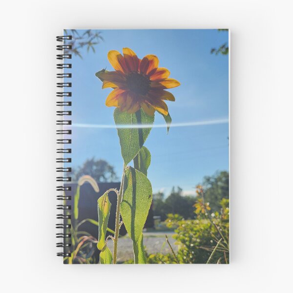 Item preview, Sol de girasol designed and sold by TSinclairArt.
