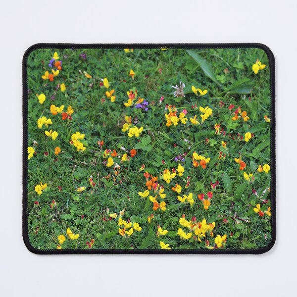 Item preview, Horseshoe Vetch designed and sold by pinkal.