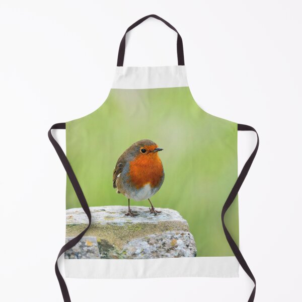 Item preview, English Robin Erithacus rubecula designed and sold by Dorset Girl.
