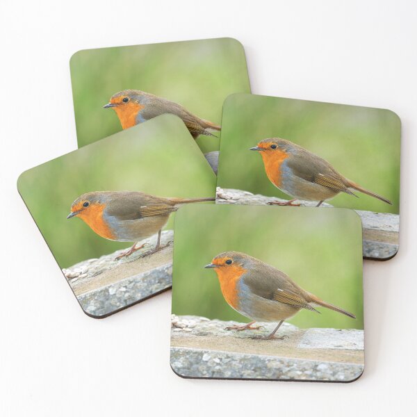 Item preview, English Robin Erithacus rubecula designed and sold by Dorset Girl.