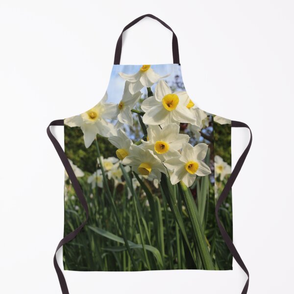 Item preview, Narcissus tazetta designed and sold by pinkal.