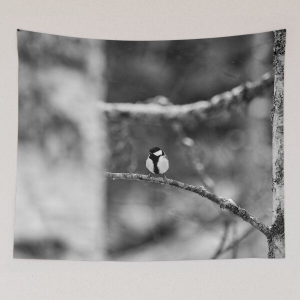 Item preview, Winter tit. Great tit bw designed and sold by Jouko Lehto Photography.
