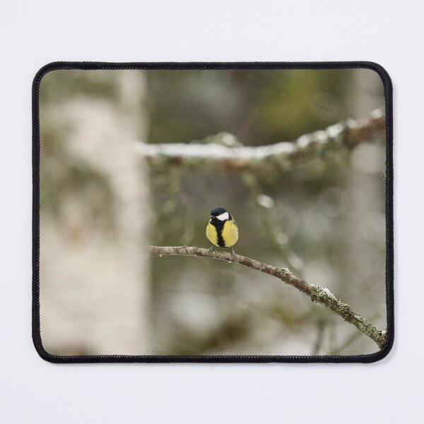 Item preview, Winter tit. Great tit designed and sold by Jouko Lehto Photography.