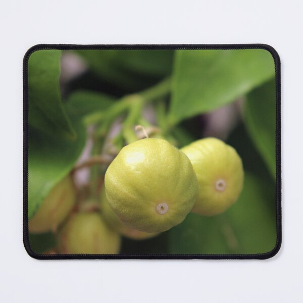 Item preview, Pomelo designed and sold by pinkal.