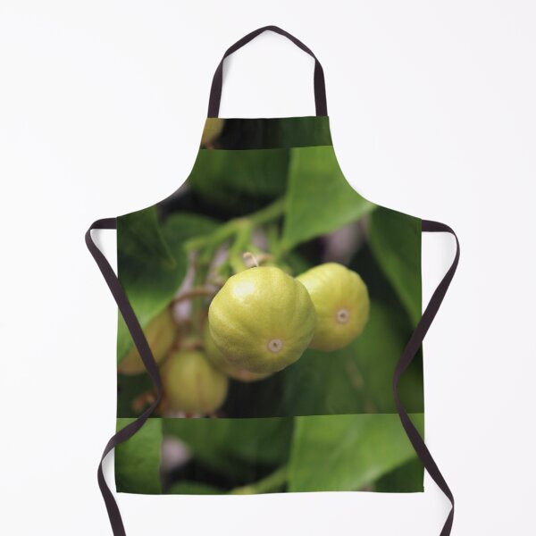 Item preview, Pomelo designed and sold by pinkal.