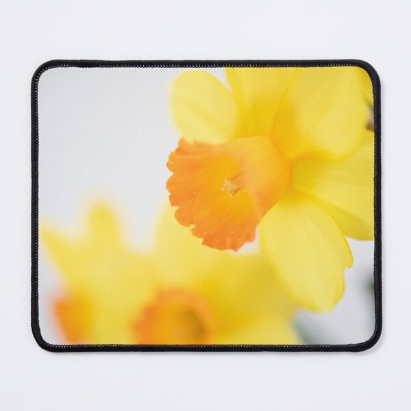 Item preview, Bright and Beautiful Daffodils designed and sold by imaginethis.