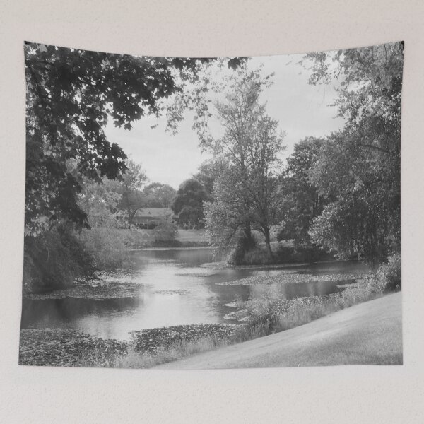 Item preview, #612 - Lake in Black and White designed and sold by lewiswhatsisnme.