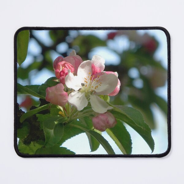 Item preview, Apple Blossom designed and sold by pinkal.