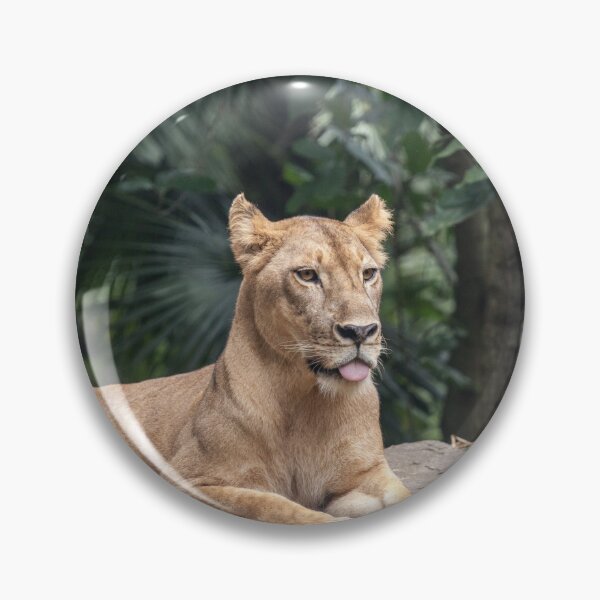 Item preview, Lion designed and sold by PineSunStudio.