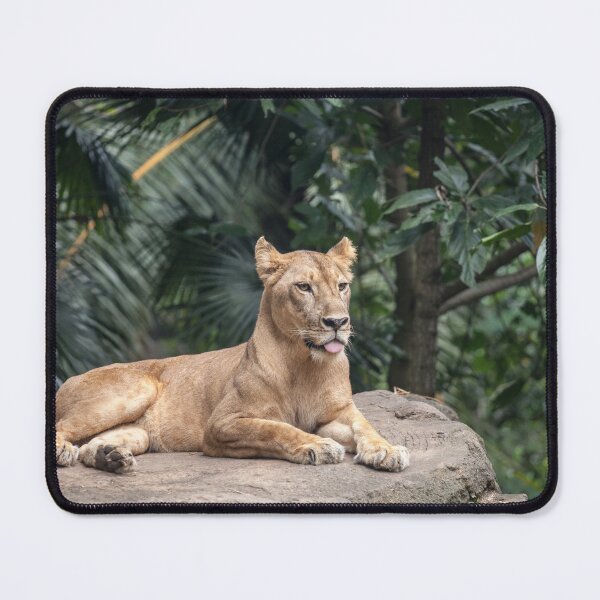 Item preview, Lion designed and sold by PineSunStudio.
