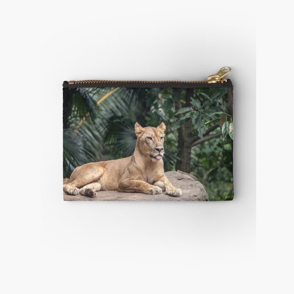 Item preview, Lion designed and sold by PineSunStudio.