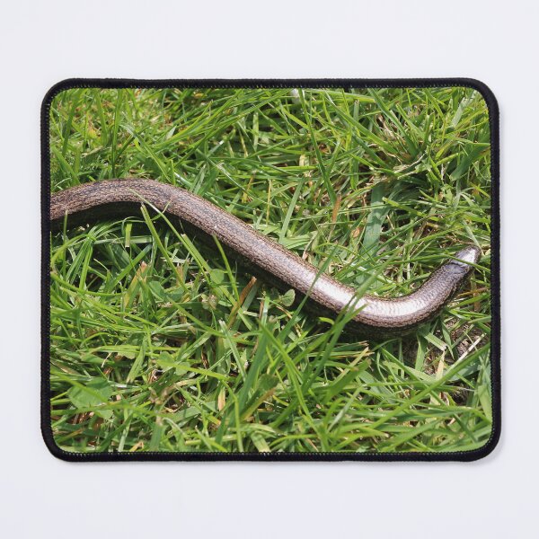 Item preview, Slow worm designed and sold by pinkal.