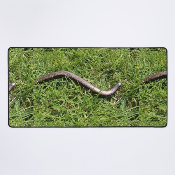 Item preview, Slow worm designed and sold by pinkal.
