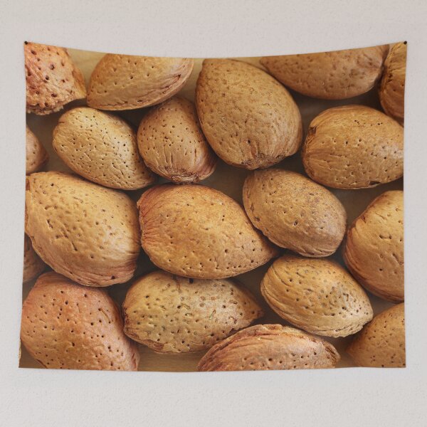 Item preview, Almonds  designed and sold by pinkal.