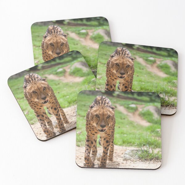 Item preview, Cheetah designed and sold by PineSunStudio.