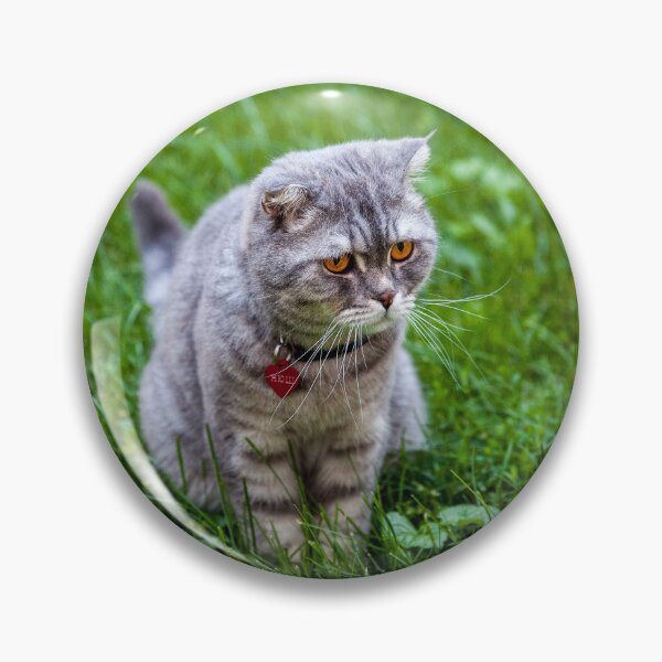 Aperçu de l'œuvre Chaton sur l'herbe créée et vendue par PineSunStudio.