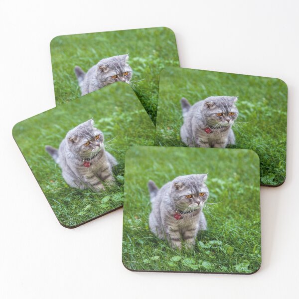 Item preview, Kitten on the grass designed and sold by PineSunStudio.