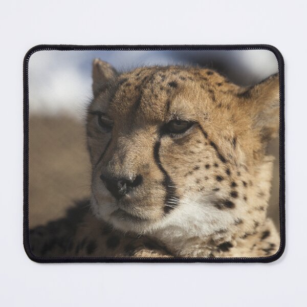 Item preview, Cheetah 1 designed and sold by PineSunStudio.
