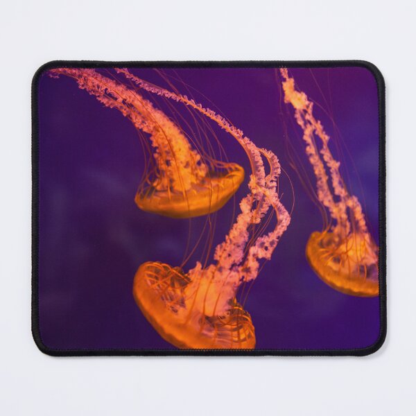 Item preview, Jellyfish designed and sold by PineSunStudio.