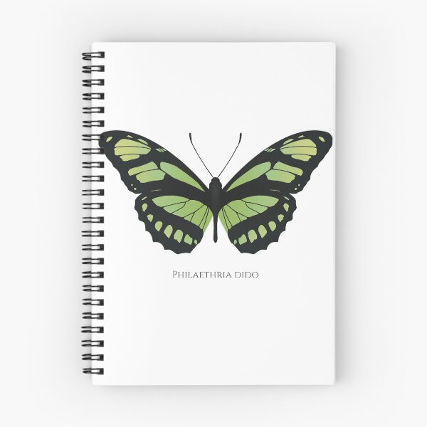 Item preview, Dido longwing / Philaethria dido designed and sold by swiatek.
