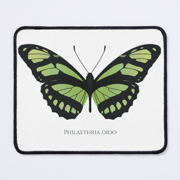 Item preview, Dido longwing / Philaethria dido designed and sold by swiatek.