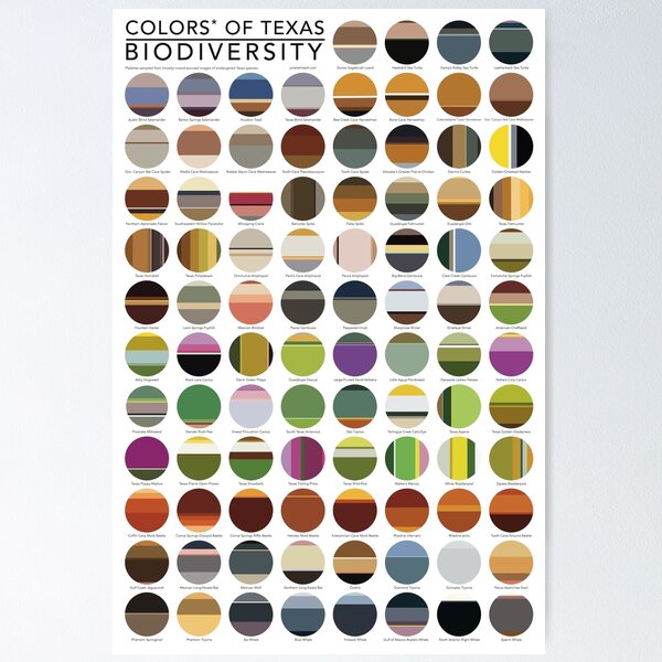 Item preview, Endangered Texas Species Color Palettes designed and sold by Juliet Whitsett.