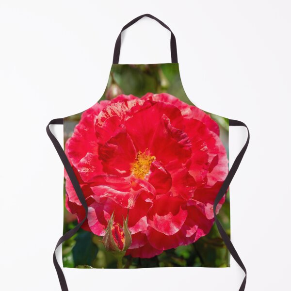 Item preview, Red Rose in Full Bloom designed and sold by SafariByMarisa.