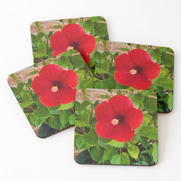 Item preview, Red Hibiscus  designed and sold by TSinclairArt.