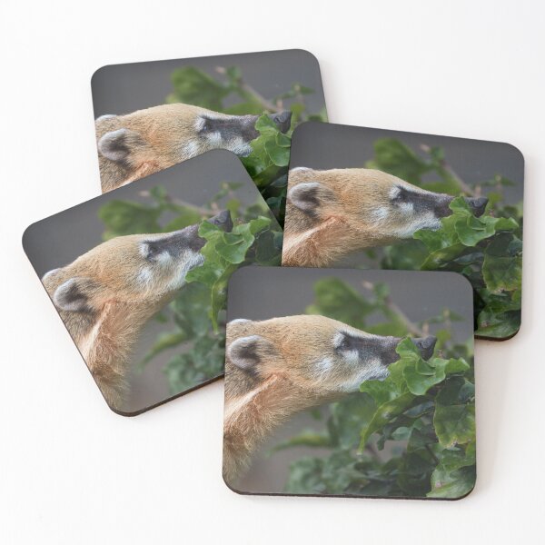 Item preview, Curious Coati  designed and sold by rawshutterbug.