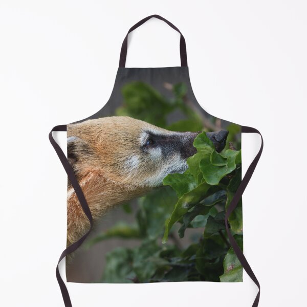 Item preview, Curious Coati designed and sold by rawshutterbug.
