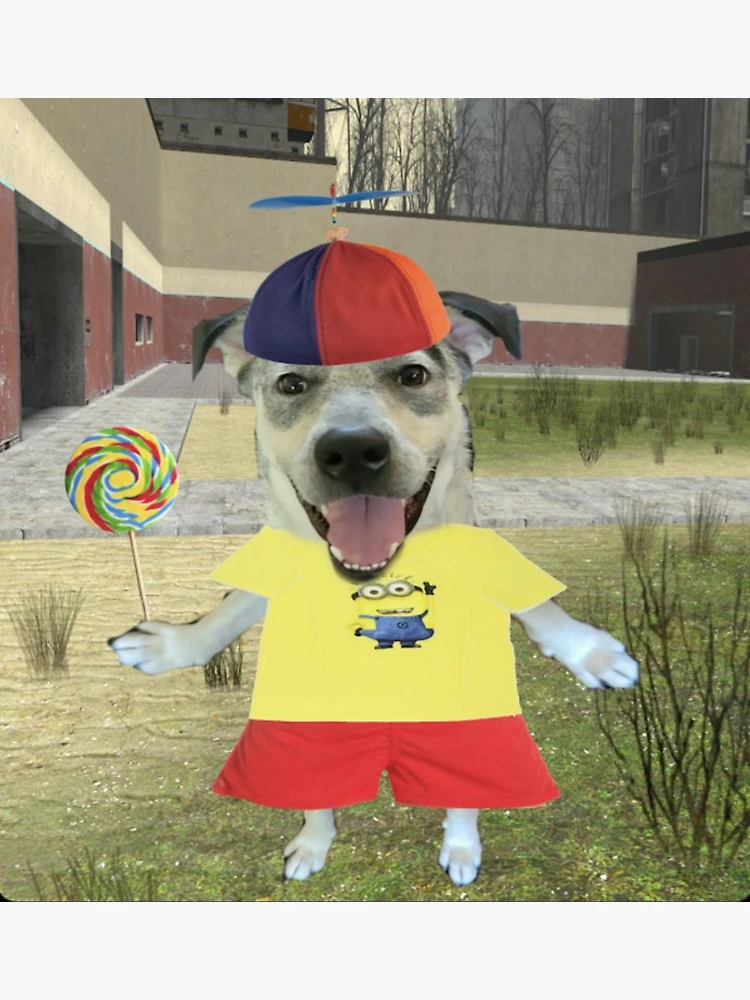 Propeller Hat Dog Meme