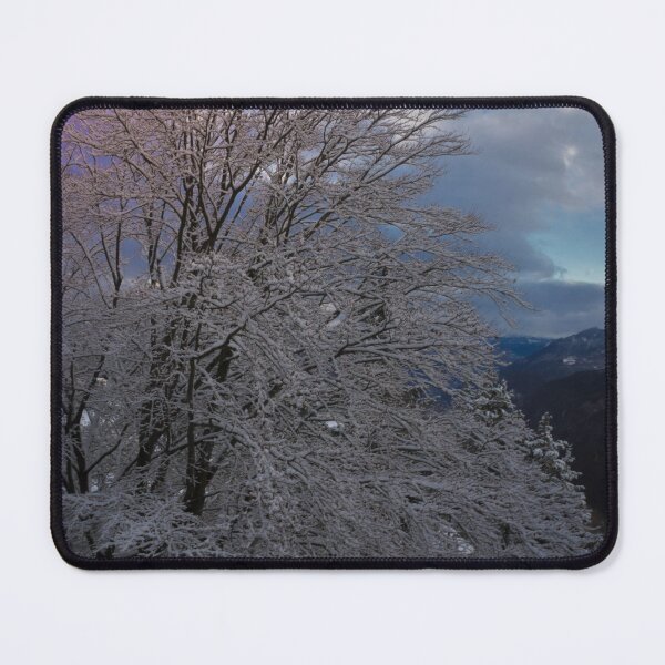 Item preview, tree designed and sold by paolo amiotti.