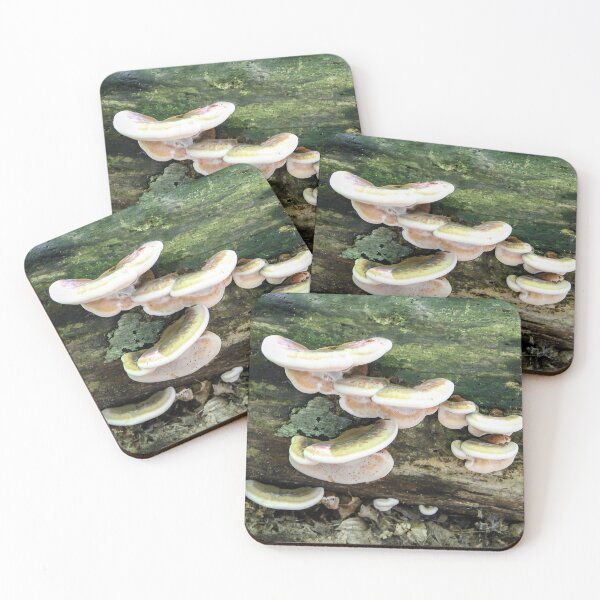 Item preview, Tree Fungus designed and sold by heatherfriedman.