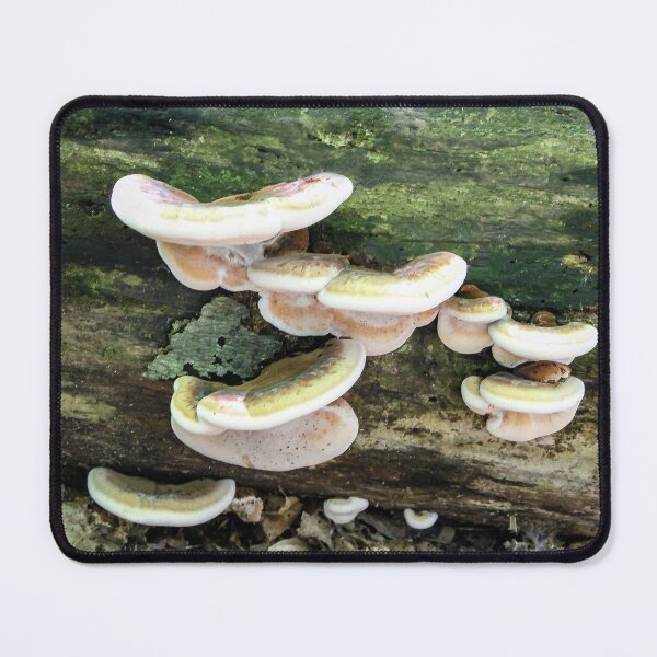 Item preview, Tree Fungus designed and sold by heatherfriedman.
