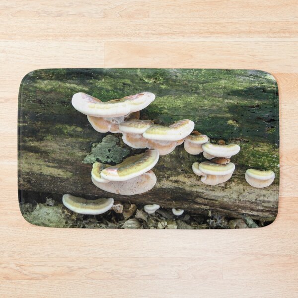 Item preview, Tree Fungus designed and sold by heatherfriedman.