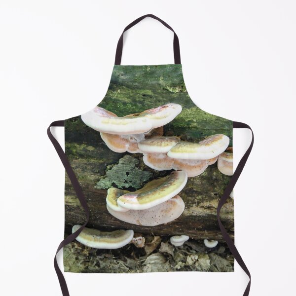 Item preview, Tree Fungus designed and sold by heatherfriedman.