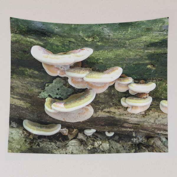 Item preview, Tree Fungus designed and sold by heatherfriedman.