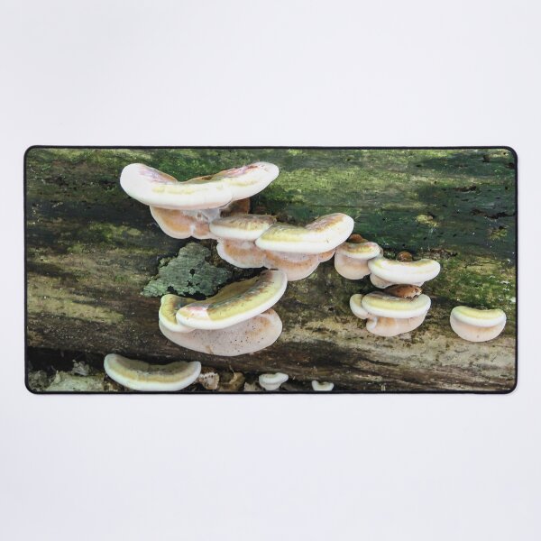 Item preview, Tree Fungus designed and sold by heatherfriedman.