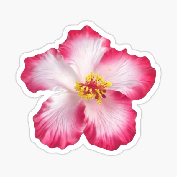 Item preview, flowers designed and sold by kattcherry.