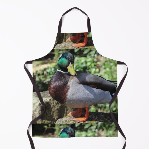 Item preview, Male Mallard Duck designed and sold by pinkal.