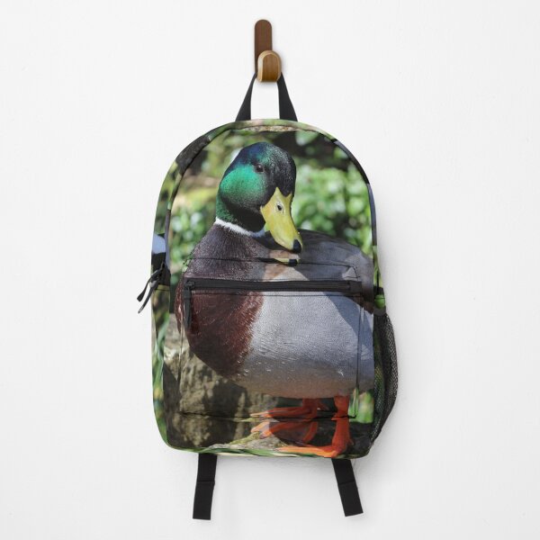 Item preview, Male Mallard Duck designed and sold by pinkal.