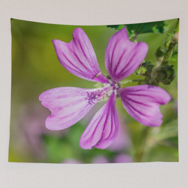 Item preview, Pink Wildflower designed and sold by Jon Shore.