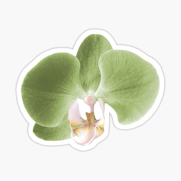Item preview, green orchid flower designed and sold by kattcherry.