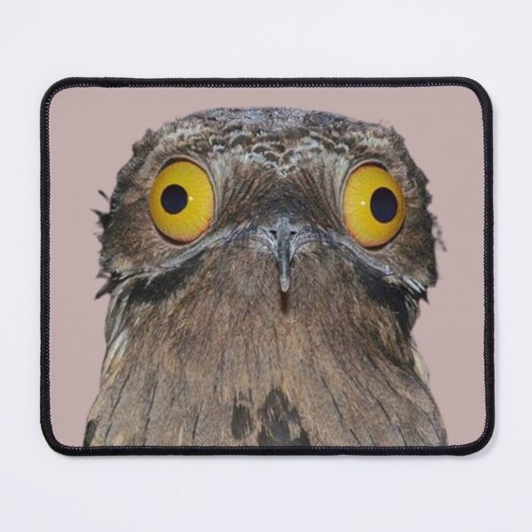 Item preview, Potoo Bird designed and sold by CrushArt1.
