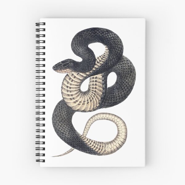 Item preview, Vintage Snake Illustration  designed and sold by HawthorneFlame.