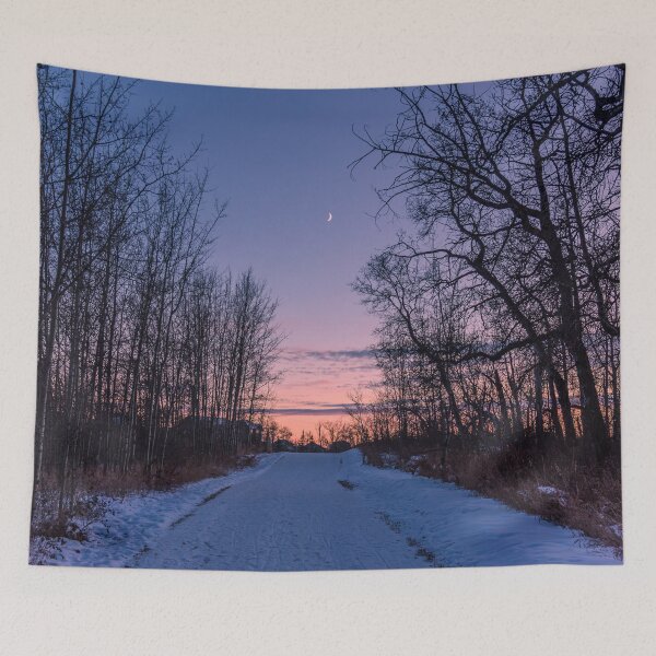 Item preview, Winter Forest Path and Crescent Moon at Sunset designed and sold by Amy Mitchell.
