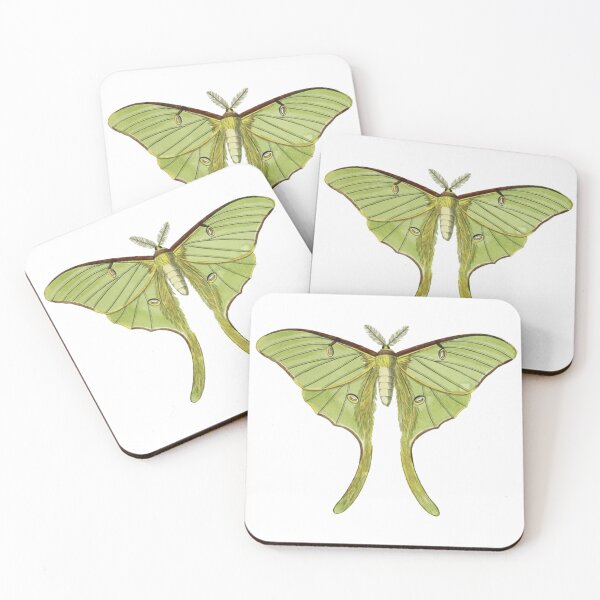 Item preview, Vintage Luna Moth Illustration, Entomology designed and sold by HawthorneFlame.
