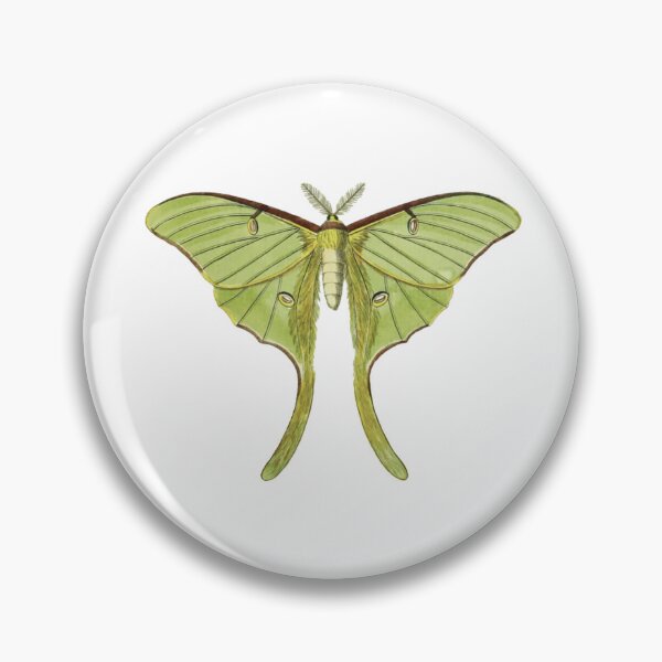 Item preview, Vintage Luna Moth Illustration, Entomology designed and sold by HawthorneFlame.