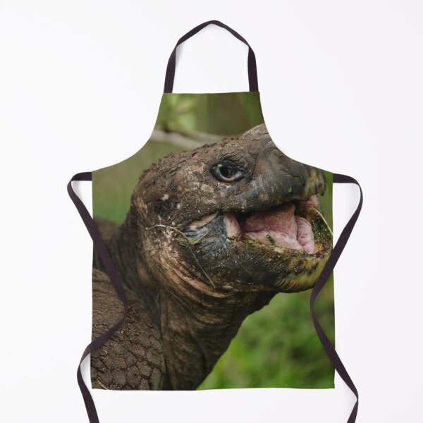 Item preview, Galapgos Giant Tortoise designed and sold by acwb.