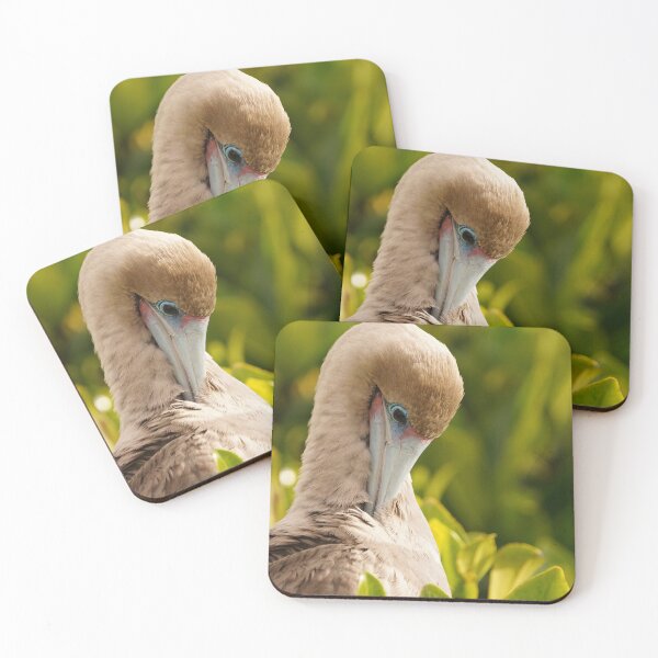 Item preview, Red Footed Booby Portrait designed and sold by acwb.